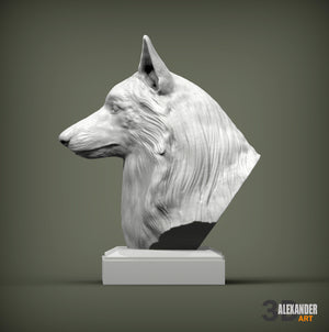 Belgian Shepherd Bust