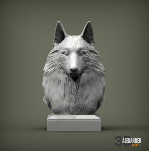Belgian Shepherd Bust