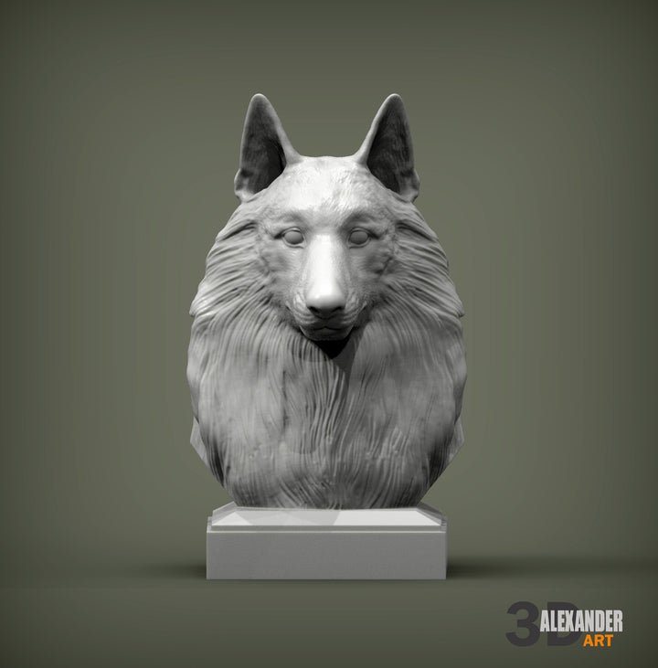 Belgian Shepherd Bust