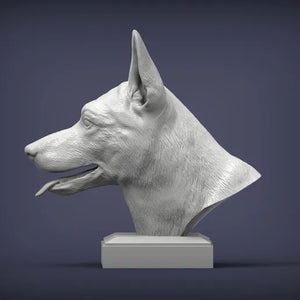 Belgian Malinois