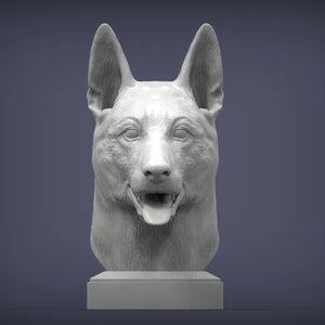 Belgian Malinois