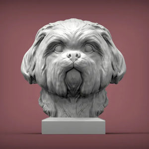 Shih Tzu Bust