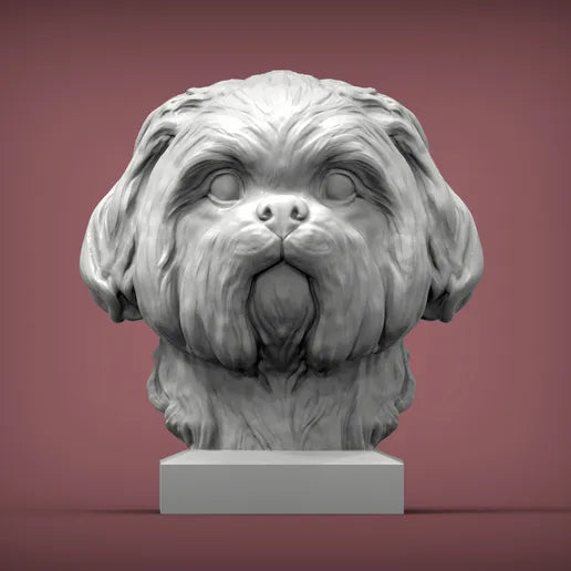 Shih Tzu Bust