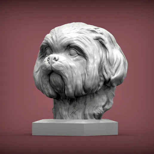 Shih Tzu Bust