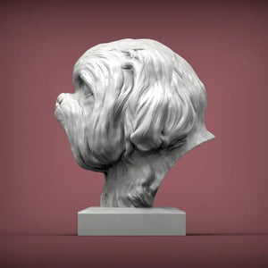 Shih Tzu Bust