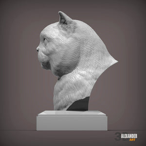 British Shorthair Cat Bust