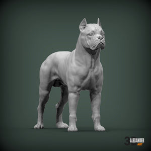 Cane Corso