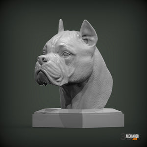 Cane Corso Bust