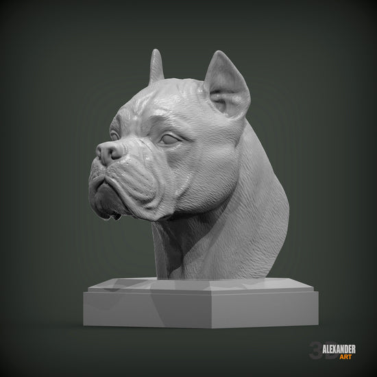 Cane Corso Bust