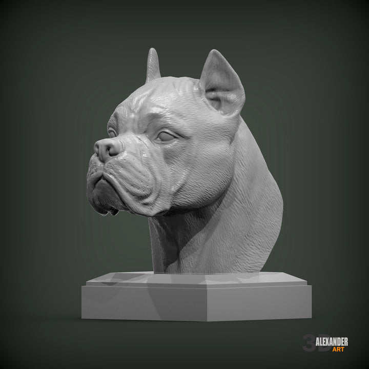Cane Corso Bust
