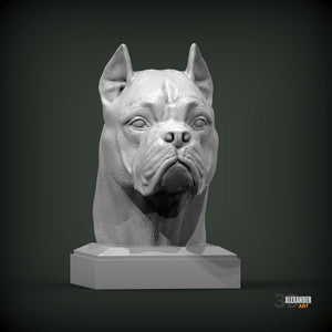 Cane Corso Bust