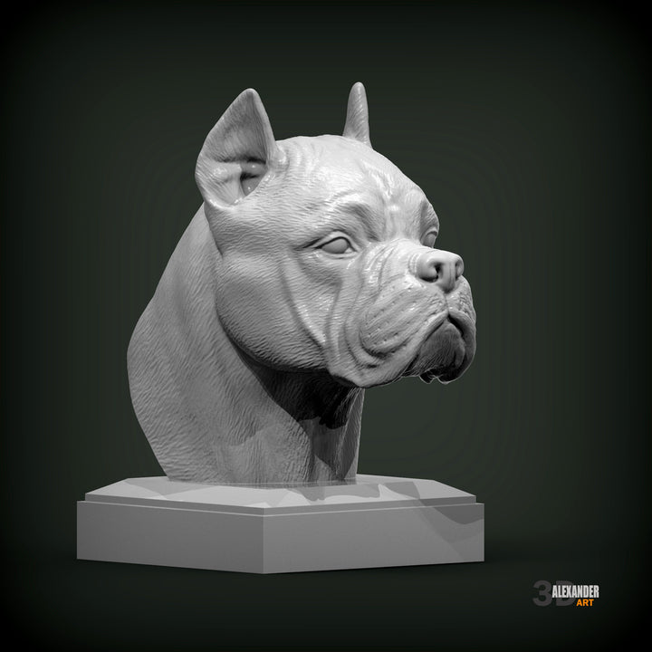Cane Corso Bust