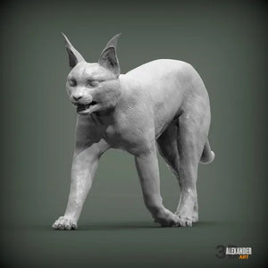 Caracal