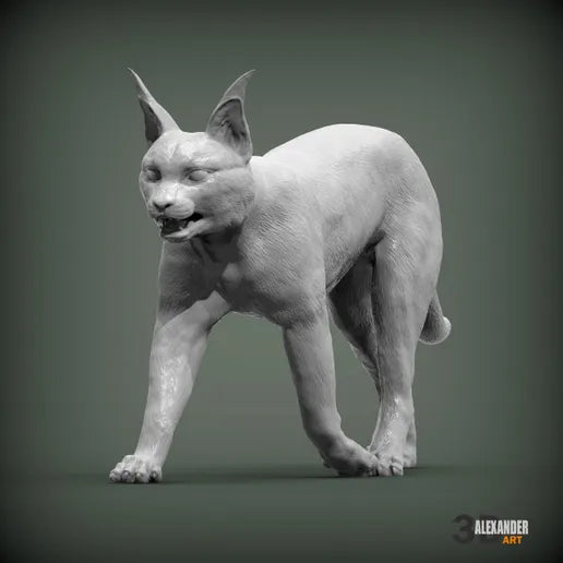 Caracal