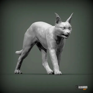 Caracal