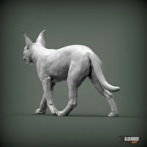 Caracal