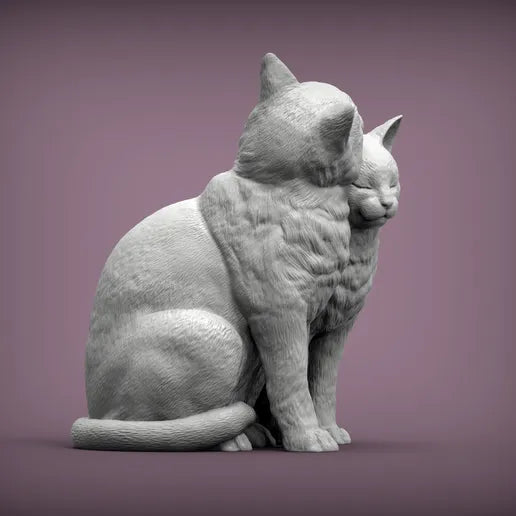 Cats in Love