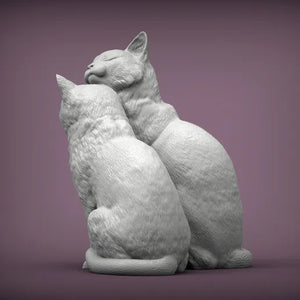 Cats in Love