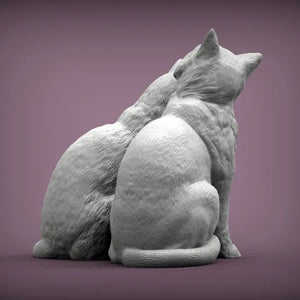 Cats in Love