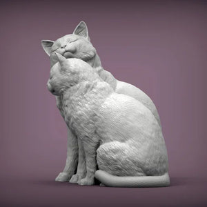 Cats in Love
