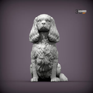 Cavalier King Charles Spaniel