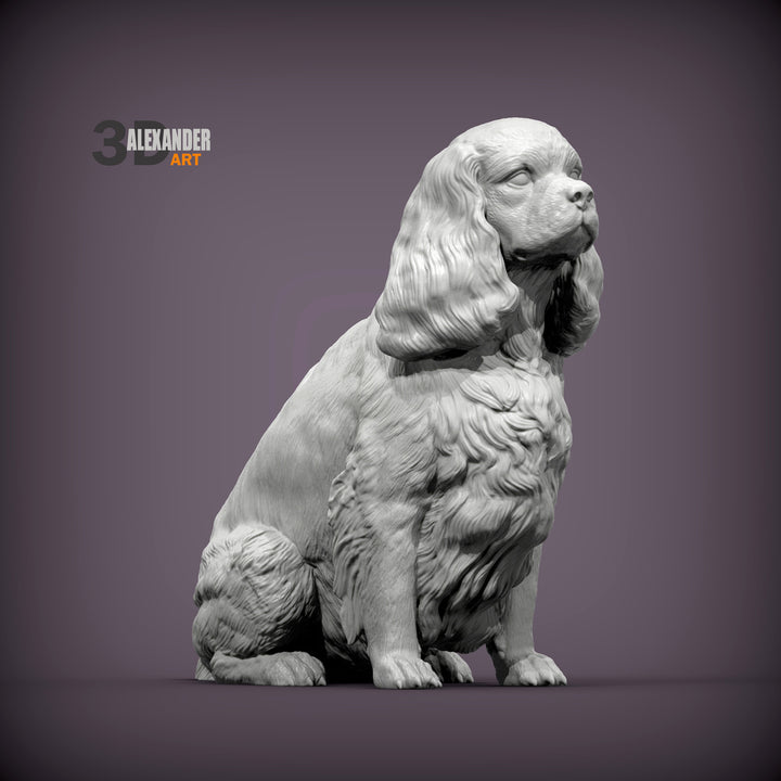 Cavalier King Charles Spaniel