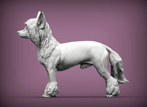 Chinese Crested Sculpture (Standing)