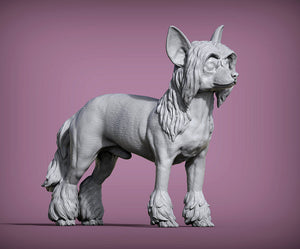 Chinese Crested Sculpture (Standing)