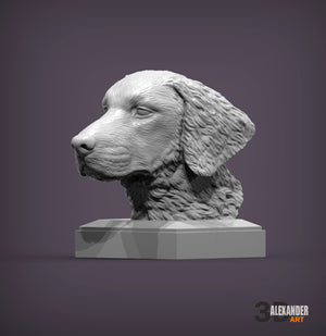 Curly-Coated Retriever Bust