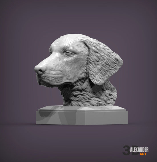 Curly-Coated Retriever Bust