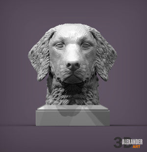 Curly-Coated Retriever Bust