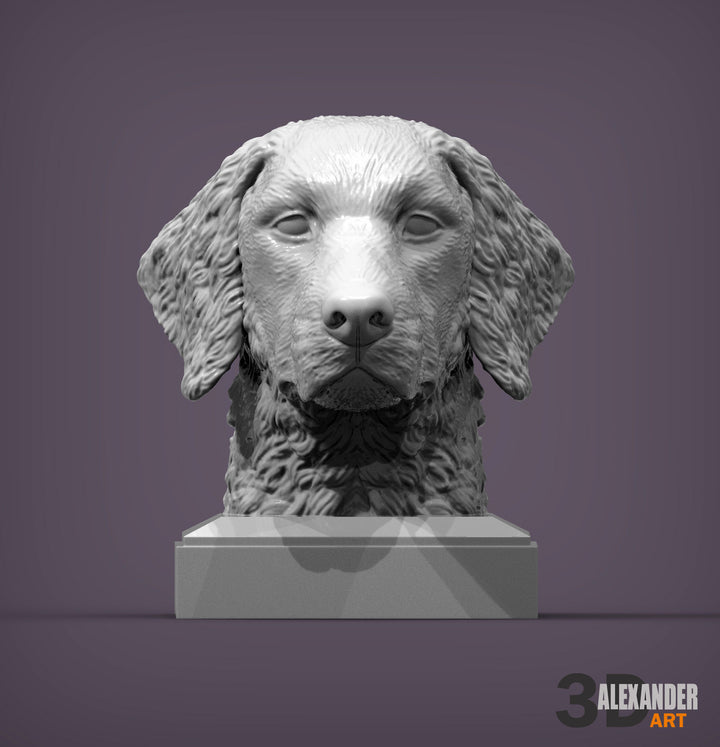 Curly-Coated Retriever Bust