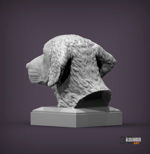 Curly-Coated Retriever Bust