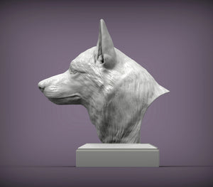 Czechoslovakian Wolfdog Bust