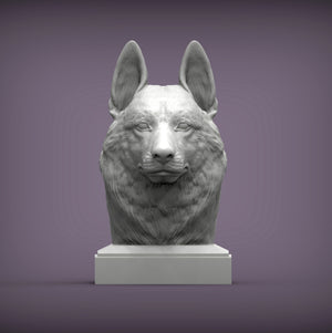 Czechoslovakian Wolfdog Bust