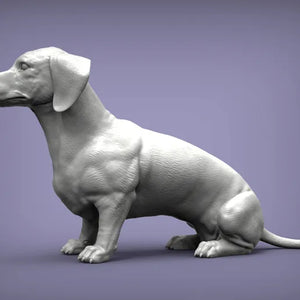 Dachshund