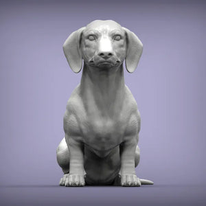 Dachshund