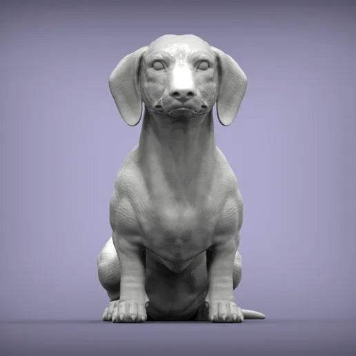 Dachshund