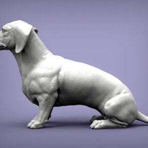 Dachshund
