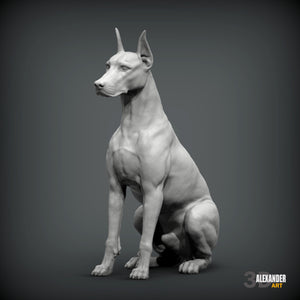 Doberman Pincher