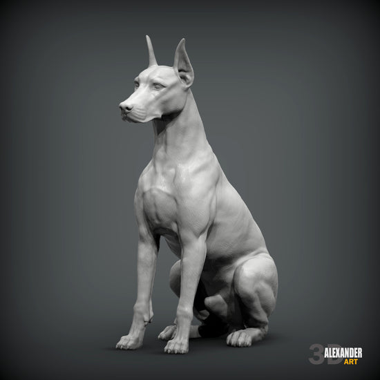 Doberman Pincher