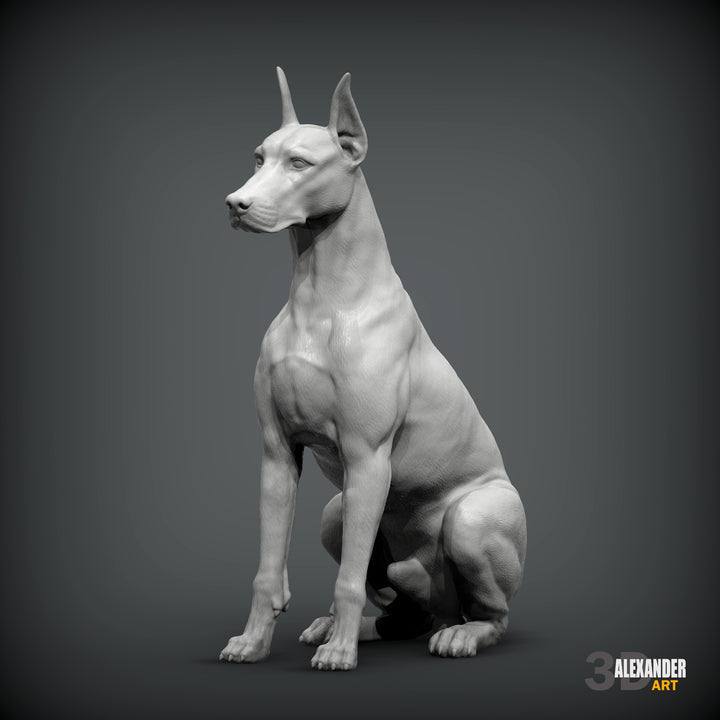 Doberman Pincher