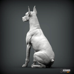 Doberman Pincher