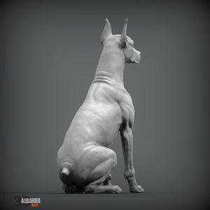 Doberman Pincher