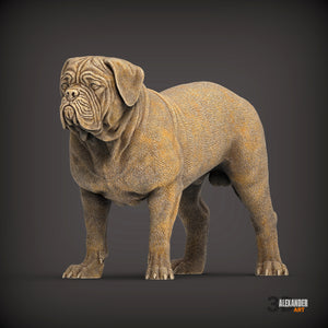 Dogues de Bordeaux