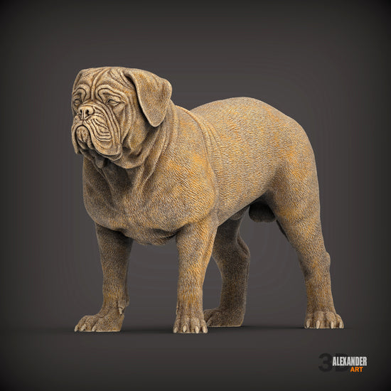 Dogues de Bordeaux