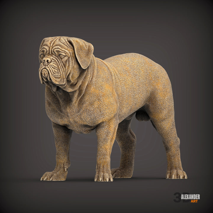 Dogues de Bordeaux