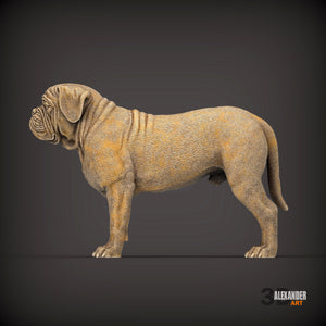 Dogues de Bordeaux