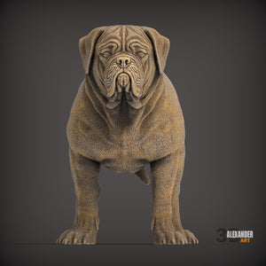 Dogues de Bordeaux