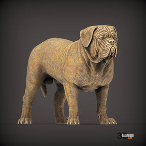 Dogues de Bordeaux